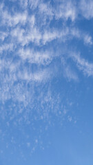 Fototapeta na wymiar Abstract texture background of white clouds and blue sky. Peaceful blue sky with white feathery clouds