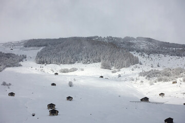 Chalets d'Alpage pour agriculture biologique en montagne