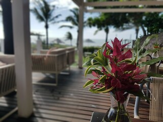 Jericoacoara / CE
