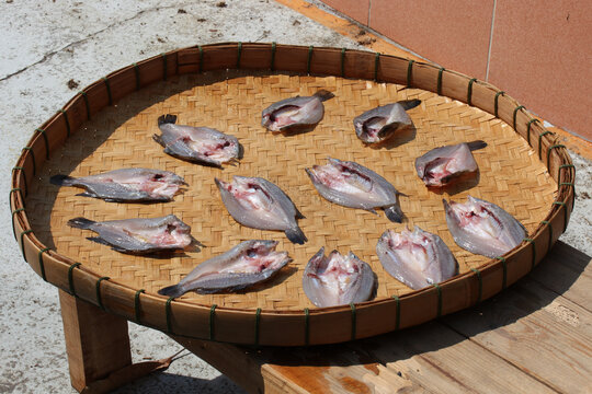 Dried gourami fish in one sun