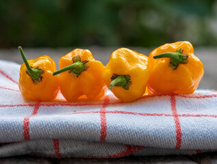 Yellow Fatalii Chili fruit after harvesting phase with view on table