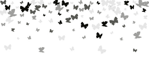 Fairy black butterflies flying vector background. Spring vivid moths. Wild butterflies flying fantasy illustration. Sensitive wings insects graphic design. Tropical creatures.