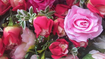 colorful rose background Add text Wallpaper