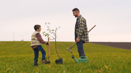 The dad with his little son planting a tree in the field