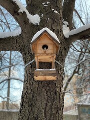 bird house on a tree. wooden bird house. birdhouse on a tree. 