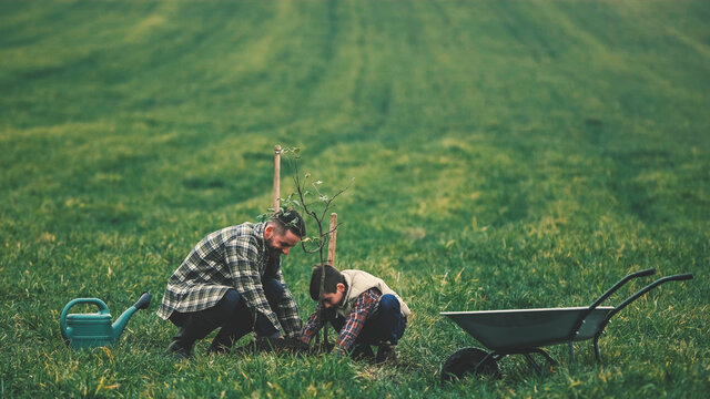 The handsome father and his little son planting a tree together - Powered by Adobe