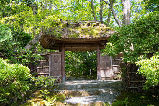 Kyoto, Japan - Jun 03 2019 - Gio-ji Temple in Kyoto, Japan. The temple was a modest thatched hut surrounded by a bamboo grove and maple trees which appeared in "The Tale of the Heike".