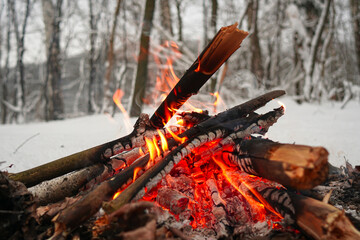 Fire burns in the snow in the woods, on a background of snow covered trees
