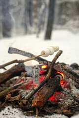 Roasted marshmallows on a fire in the winter forest with snow on the background