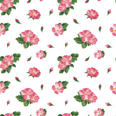 Pink rosehip flowers, seamless pattern. watercolor background