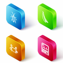 Set Isometric line Cockroach, Kidney beans, Crab and Monitor with cardiogram icon. Vector