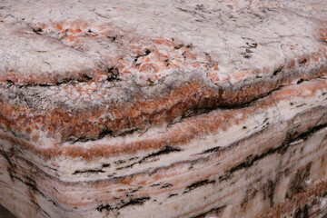 Monolith natural stone with coral, gray, and white layers. Selective focus.