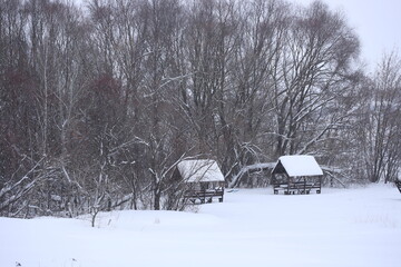 Resting places on the edge of the forest on a cloudy winter day