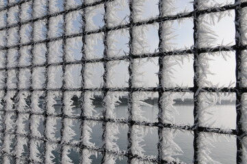 Raureif an einem Gitter