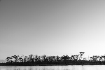 Black and white sunset with pine forest and reservoir and blue sky background. Nature and outdoor background in national park at Thailand