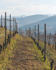 Grinzane Cavour