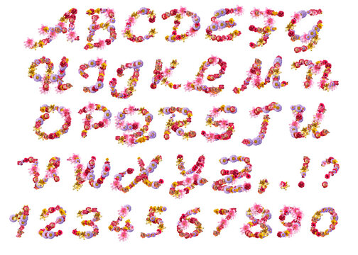Latin alphabet with cursive letters made up of different flowers and butterflies