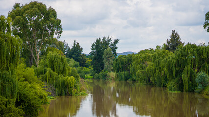 Fototapeta na wymiar Landscape of wild nature of south africa. Photo of the river after long rains.