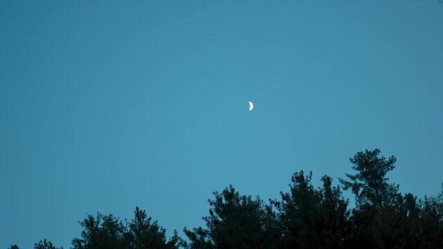 4K Day to Night Time lapse of the moon and the stars above the trees of Pine Tree forest at Van Vihar in Manali, Himachal Pradesh, India. Moon and stars after the sunset above the Pine Tree forest.