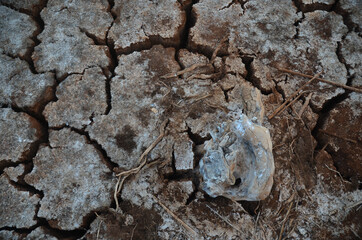 Land with dry and cracked ground. Desert, global warming background