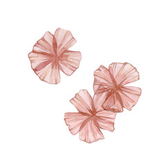 Watercolor illustration of pink flowers isolated on white background.