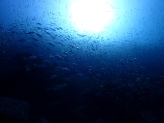 underwater scene with bubbles