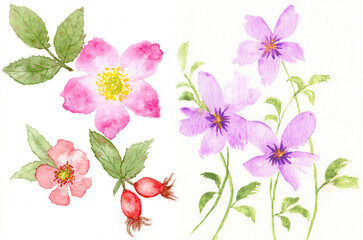 Watercolor Painting Red, Purple Flowers and Green Leaves	