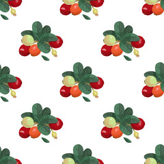 Seamless vector pattern with cranberries. Bright summer background. North Berries.