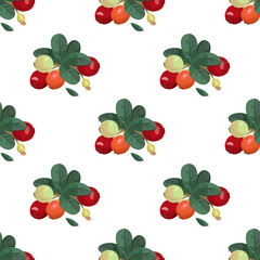 Seamless vector pattern with cranberries. Bright summer background. North Berries.