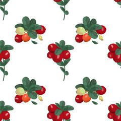 Seamless vector pattern with cranberries. Bright summer background. North Berries.