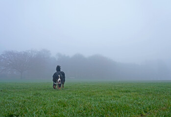 Dog running in the park, foggy day 