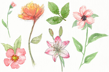 Watercolor Painting Floral Elements
