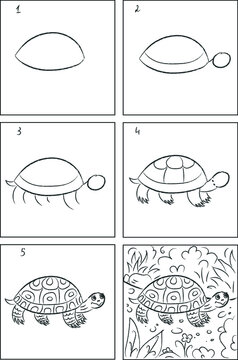 Turtle drawing instruction and coloring book