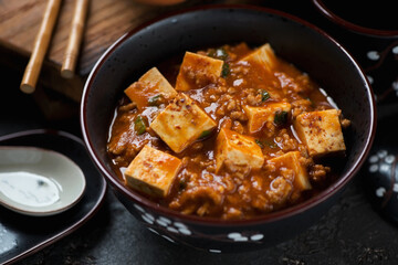 Mapo tofu or chinese dish made of tofu cubes, ground pork and sichuan peppercorns, close-up, selective focus