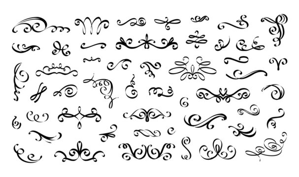 Swirl wedding ornament. Calligraphy flourish vintage outline elements. Typography border line. Black ink spiral and scroll drawing. Elegant curve dividers. Vector filigree graphic set