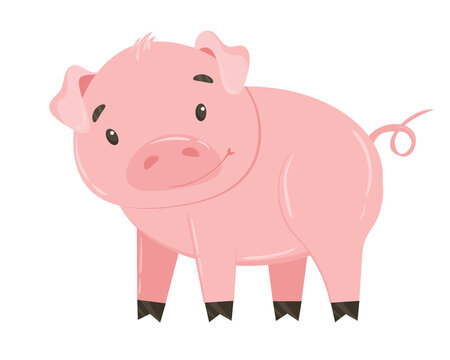 Pink pig or piggy isolated on white background. Vector drawing of a funny cartoon pig, farm livestock or pet. Colorful childish hand drawn vector illustration in modern flat style