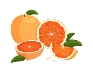 Whole red orange and slice of oranges with green leaves. Vector illustration of oranges isolated on white background.