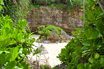 A beach surrounded by cliffs and plants.