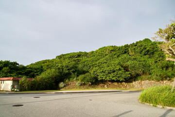 The asphalt square and plants at National Okinawa Perk.