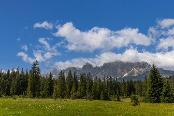 Typical alpine pastures