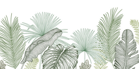 Vector illustration of the jungle. Graphic linear green palm and banana leaves - obrazy, fototapety, plakaty