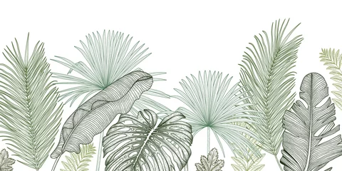 Poster Vector illustration of the jungle. Graphic linear green palm and banana leaves © Viktoriia Holovko