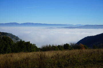 Fog sea in a winter morning