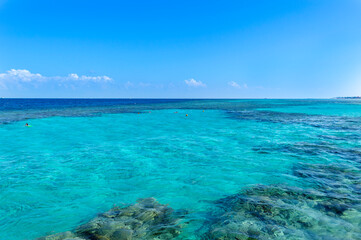 Fototapeta na wymiar Beautiful amazing nature background. Tropical blue water. Red sea. Holiday resort. Coral reef. Adventure day. Luxury paradise. Inspiring wilderness