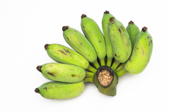 A hand of half-ripe cultivated bananas has nine fingers on a white background.