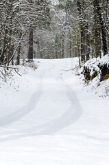 Heavy snow on the trees
