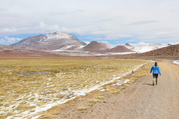Atacama, salt desert, trails, hikking, sunset, flamingoes, mountains