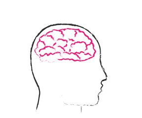 Human brain and head on a white background. Symbol. Vector illustration.