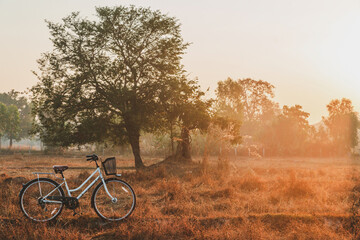 Fototapeta premium Landscape of vintage bicycle at sunrise. For making gift pictures, postcards. morning exercise by bike.