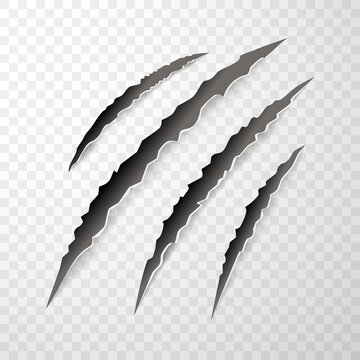 Animal claw paw marks, scratches, talons cuts cat, tiger, dog, lion, monster isolated. Vector realistic illustration.